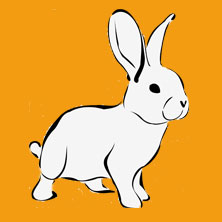 For best results - and your peace of conscience!